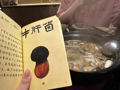 -滇野云南野生菌餐厅(陕西南路店)