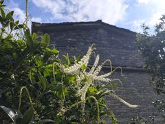 -高荡千年布依古寨旅游景区