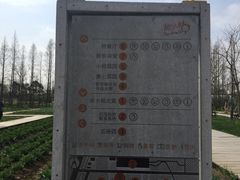 -前小桔亲子创意农场·草莓采摘·露营烧烤