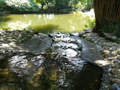 -成都市活水公园
