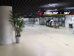-上海港国际客运中心