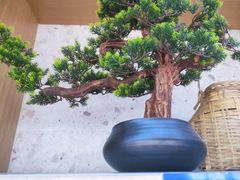 -马家斑.鲜鱼火锅(松湖万科店)