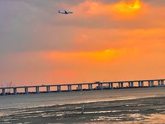 -宝安西湾红树林湿地公园