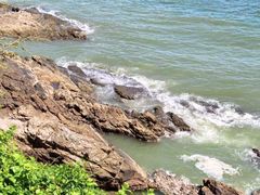 -广东惠东海龟国家级自然保护区