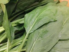 -凤吉园乌拉满族火锅中华老字号(繁荣路店)