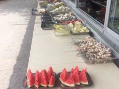 -尚庄度假村·庭台树下·户外烧烤·团建CS·轰趴营地(上庄水库店)