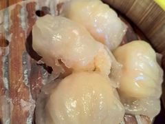 -颐和•海鲜砂锅粥•啫啫煲(奥林匹克广场店)