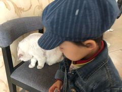 -青春加萌照相馆