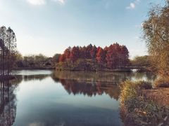 -梁鸿国家湿地公园