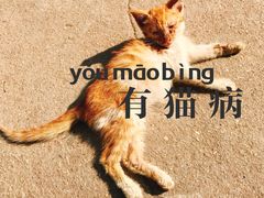 -二楼南书房