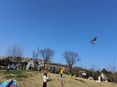 -两河城市森林公园