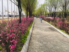 -呼兰河口湿地公园