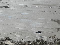 -上海山野camping·户外天幕烧烤·团建拓展营地