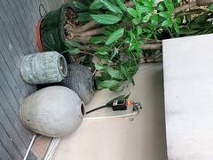 -默迹咖啡馆
