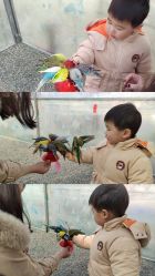 -萌宠亲子动物乐园(槐房万达店)