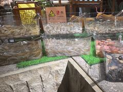 -杭州开元名都大酒店·地中海自助餐厅