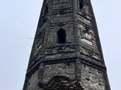 -上海佘山国家森林公园天马山园