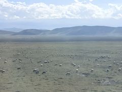 -山丹皇家马场