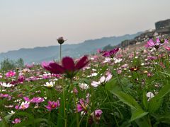 -木洞河街