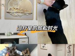 -源瑞康盲人推拿(尹山湖店)