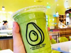 -油梨树AVOCADO TREE(嘉里中心店)