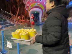 -烟台海昌鲸鲨海洋公园