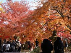 -常寂光寺