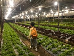 -Ohkajhu Organic Farm Sansai