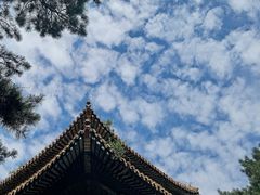-沈阳市东陵公园
