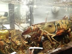 -甄御•海鲜新青岛菜(麦岛店)