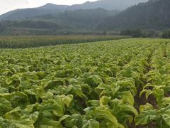 -丹东天桥沟景区