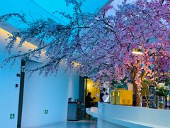 -花开餐厅(环湖中路店)