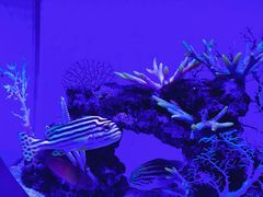 -上海海昌海洋公园