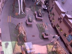 -陕西自然博物馆