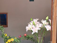 -小喜客·云南特色菜(纳西庭院店)