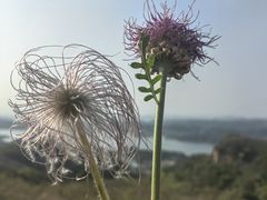 -龙云山风景区-鹿皮关长城