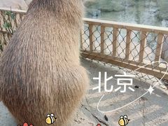 -北京野生动物园
