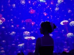 -南戴河国际娱乐中心