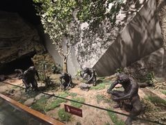 -北京周口店北京人遗址博物馆