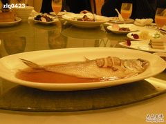 清蒸鲥鱼-上海小南国(国会店)