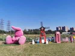 -268童话露营营地·烧烤·团建
