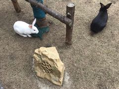 -嘉兴清池酒店温泉