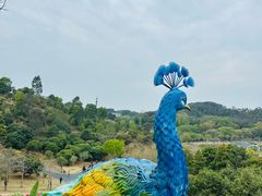 -东莞植物园