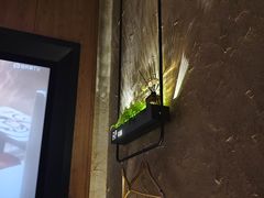 -新紫霞养生·影院足道·SPA(金山区店)