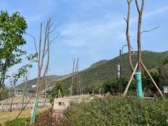 -816工程景区