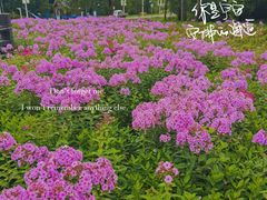 -长白山万达国际度假区