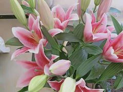 -至尊名仕·中泰按摩·养生SPA会所