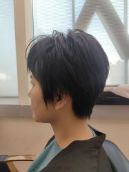 -BEAUTY HAIR GANO