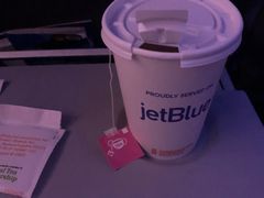 -约翰·菲茨杰拉德·肯尼迪国际机场