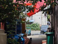 -老袁家蜜桃农场·阳山水蜜桃